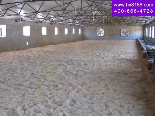 æ²›_Œ—三元å‘酵床养é¸? width=