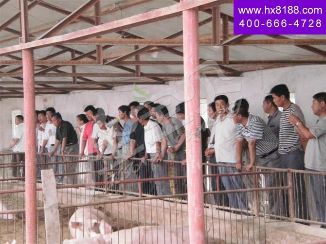 剿ž—通榆喜æ“vå…ÈŒªåœºé‡‘å®â€? width=