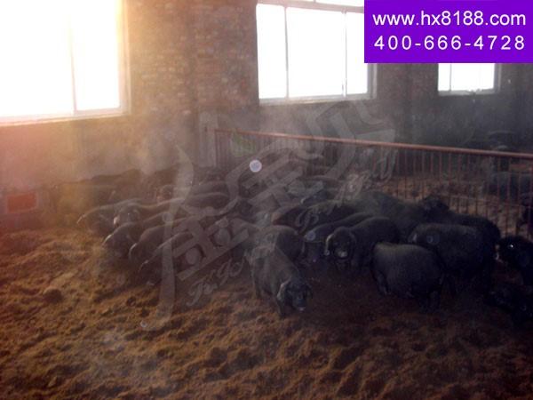 天æÓ|益利æ¥å…»ŒD–有é™å…¬å¸â€? width=