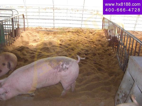 ½Iºå†›åŸºåœ°åº”用金å®è´å¹²æ’’â€? width=