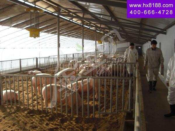 æŸå†›åŽå‹¤éƒ¨é‡‘å®è´òq²æ’’å¼â€? width=