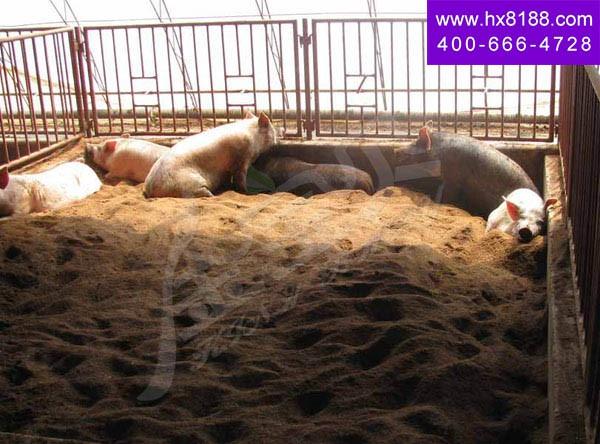 北京æŸå±€ä½¿ç”¨é‡‘å®è´å¹²æ’’â€? width=